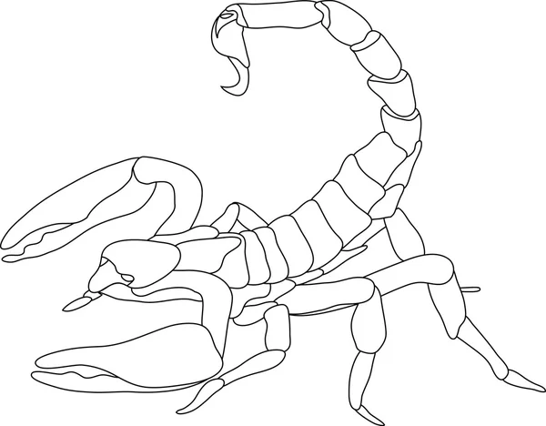 Skorpion — Wektor stockowy