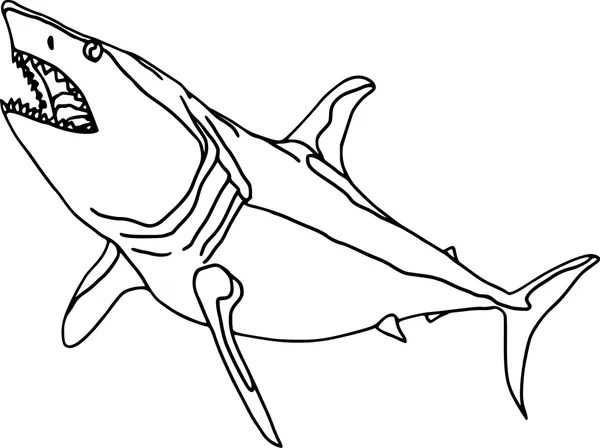 Tubarão 2 — Vetor de Stock