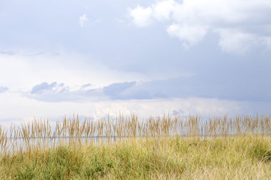 çimenli tepe manzaralı göl kıyısındaki