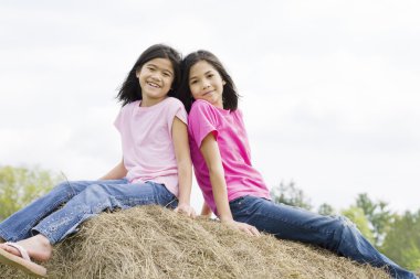 Two girls on haystack clipart