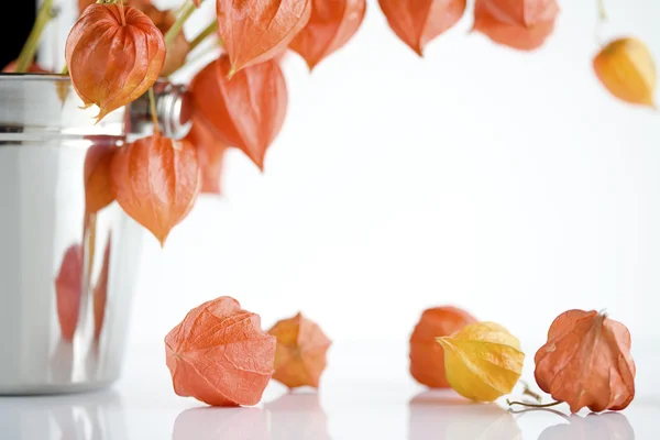 Lanterne Japonaise orange fleurs — Photo