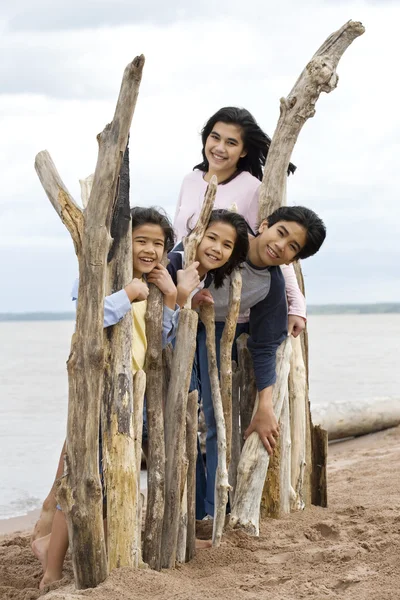 Four siblings by the lakeshore — Stock Photo, Image