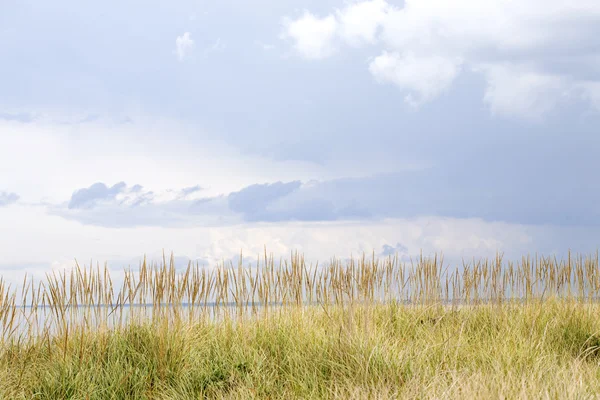 çimenli tepe manzaralı göl kıyısındaki