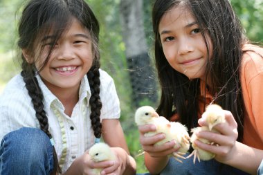 Children holding pet chicks clipart