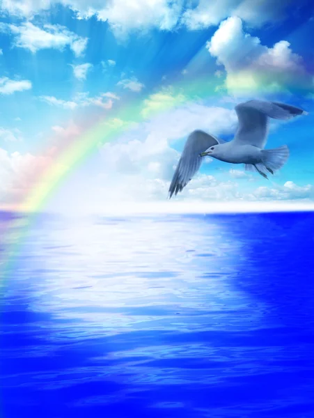 stock image Seagull over the waters