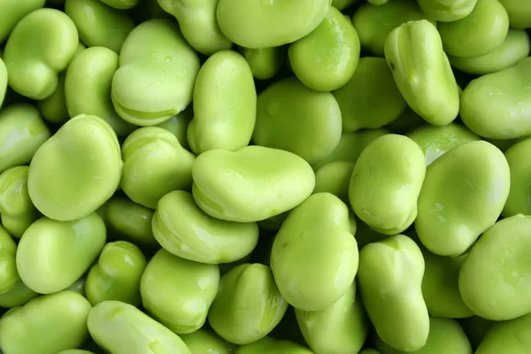 Čerstvé fazole — Stock fotografie