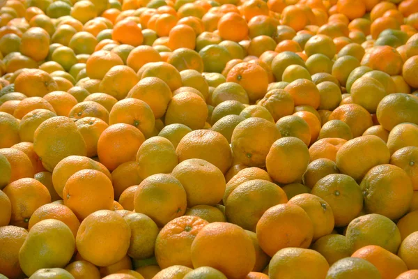Naranjas espumosas ! — Foto de Stock