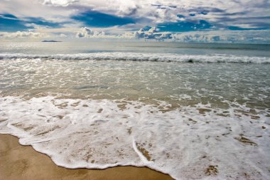 Beach, Yeni Zelanda