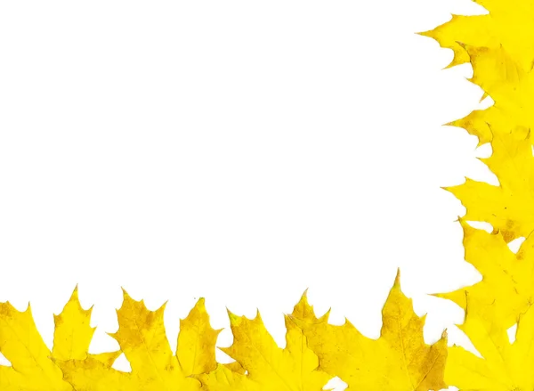 秋天的叶帧 — 图库照片