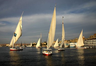 Mısır aswan felukkas nil üzerinde