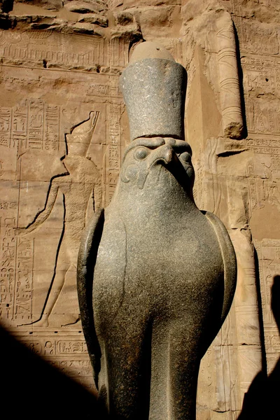 Falcon, Egypte Temple Edfu Medînet Hâbu — Photo