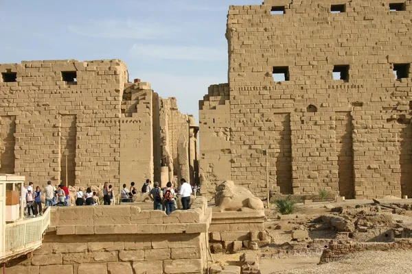 Egypte Temple Louxor Karnak — Photo