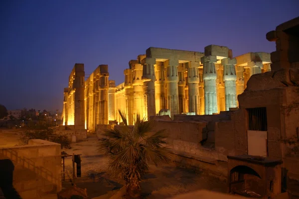Egypten luxor temple Stockbild