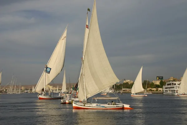 stock image Egypt luxor nile feluccas