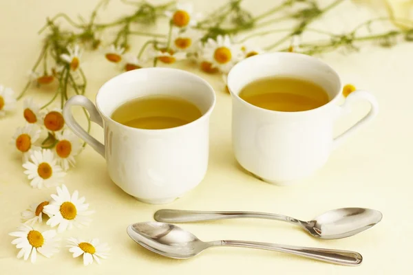 Copos com chá para dois e camomila — Fotografia de Stock