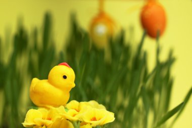 Badem ezmesi tavuk Paskalya dekorasyon