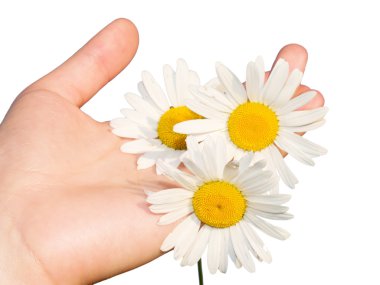 Çiçekli bir kadın eli
