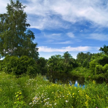Yaz manzara mavi gökyüzü ve brigh ile
