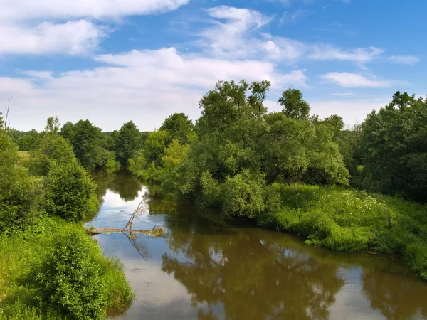 Sommarlandskap med flod — Stockfoto