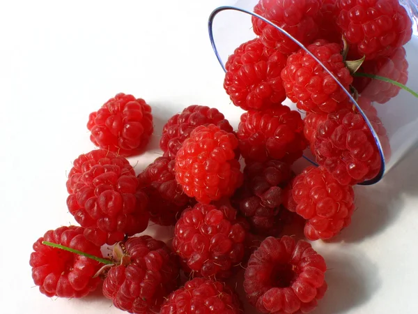 Berry raspberry red. — Stock Photo, Image