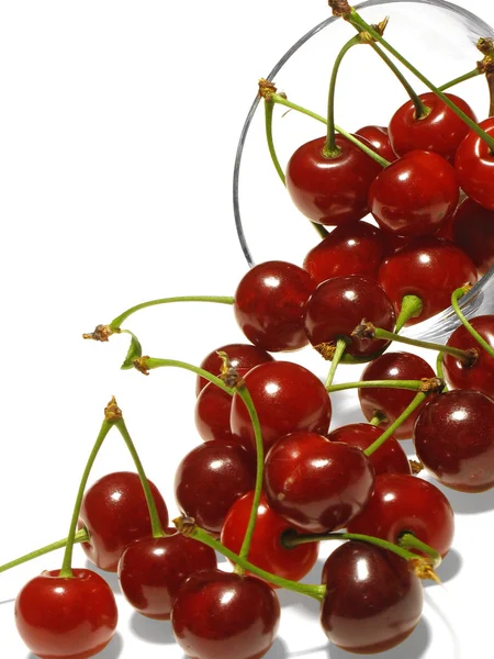 Berry of cherry and vase. — Stock Photo, Image