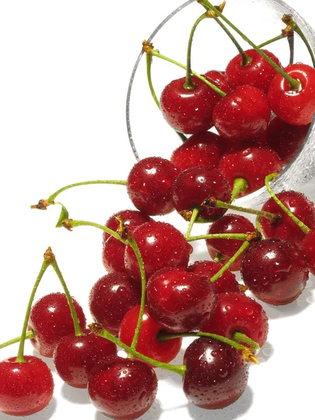 Berries of cherry in drops of water. — Stock Photo, Image