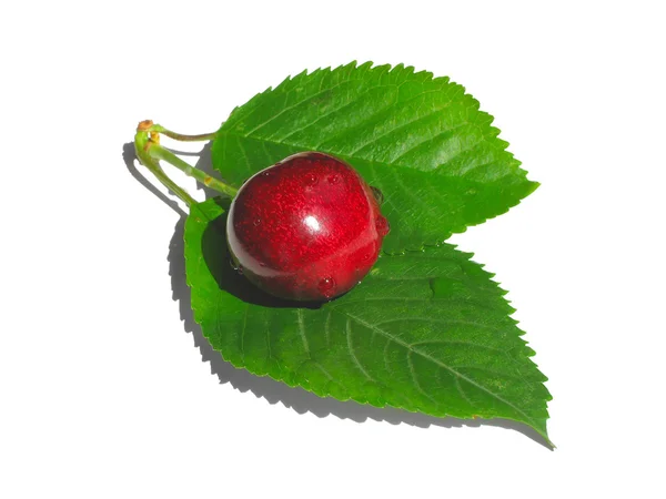 Baya roja de cereza y hojas verdes —  Fotos de Stock