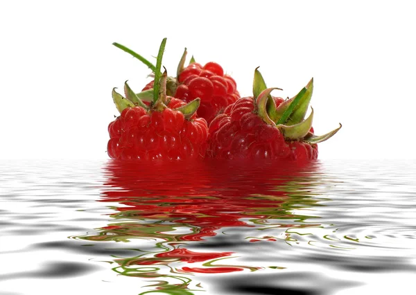 물에 베리 딸기. — 스톡 사진