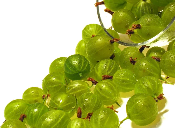 Green gooseberry. — Stock Photo, Image
