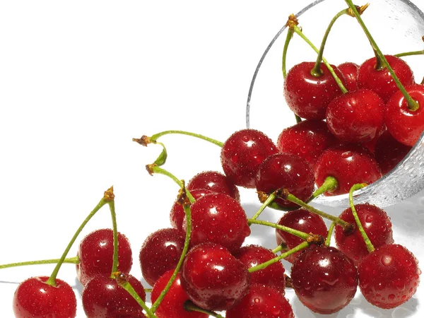 Taze kırmızı meyveler kiraz — Stok fotoğraf
