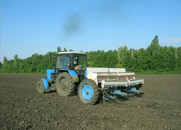 Tractor processes ground under crop.