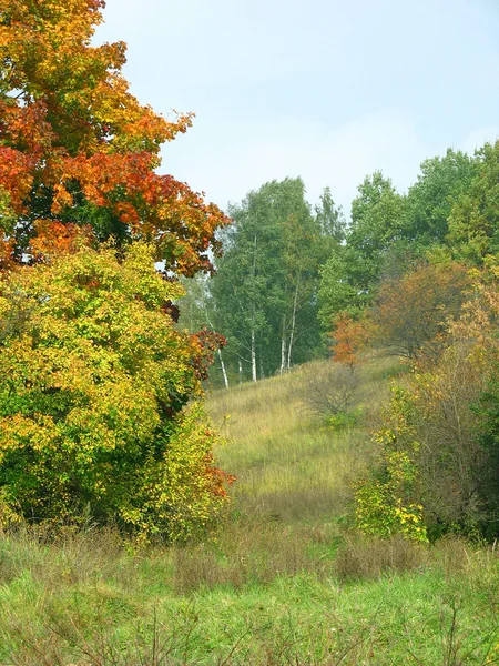 stock image Autumn landscape