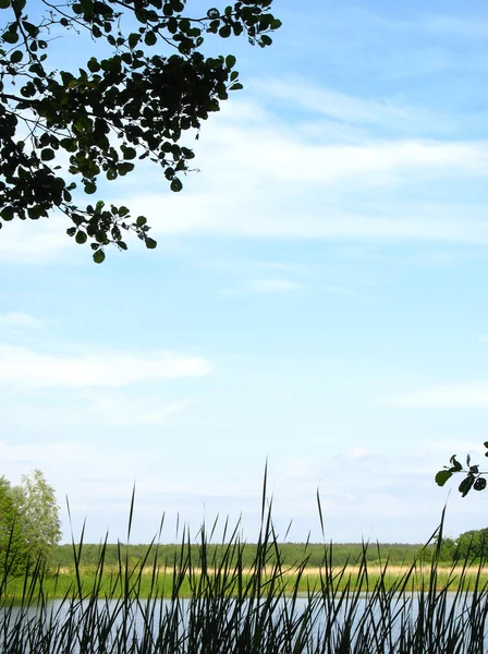 stock image Summer. The river Voronezh.