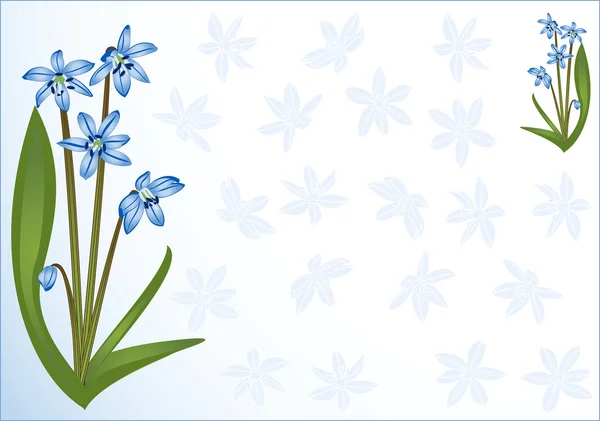 Blaue Frühlingsblume. Primeln. — Stockvektor