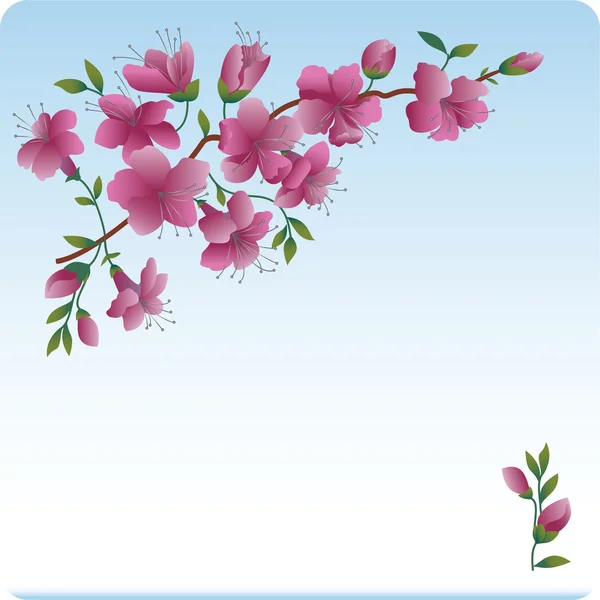Blühender Ast. Scharlachrote Blüten. — Stockvektor