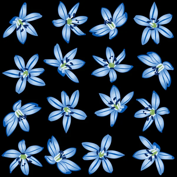 Blaue Blumen auf schwarzem Hintergrund. — Stockvektor