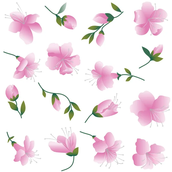 Pink flowers on white. — Stock Vector