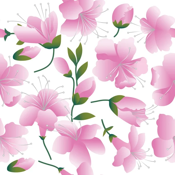 하얀 배경에 있는 분홍색 꽃들. — 스톡 벡터