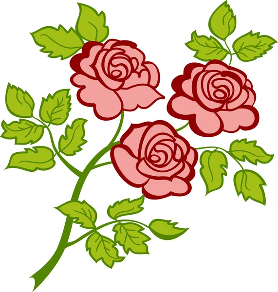Zweig mit drei rosa Rosen — Stockvektor
