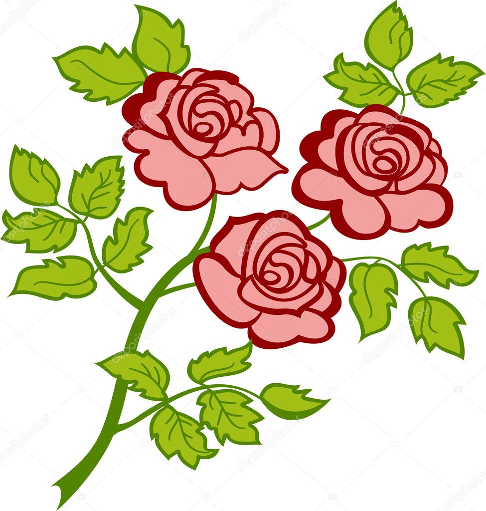 Branch with three pink roses — Stock Vector © _veter_ #2653737