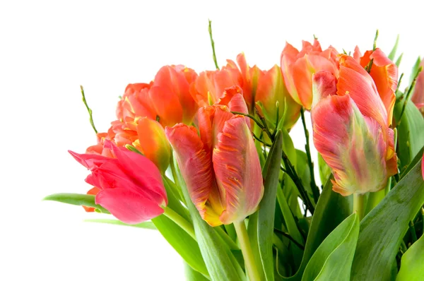 Bouquet red and orange tulips — Stock Photo, Image