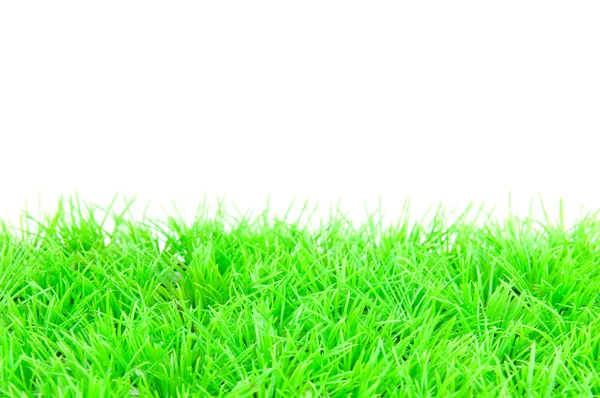 stock image Green grass