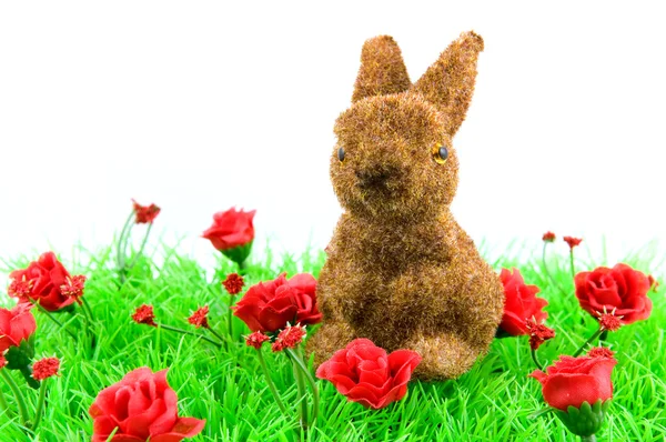 Hnědý králík na zelené trávě Royalty Free Stock Obrázky