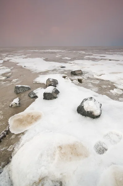 Waddenského moře sněhu a ledu Stock Fotografie