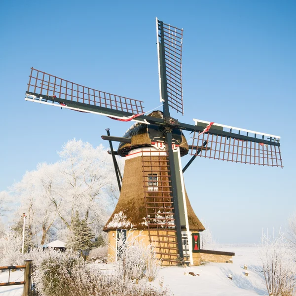 stock image Typical dutch landscape