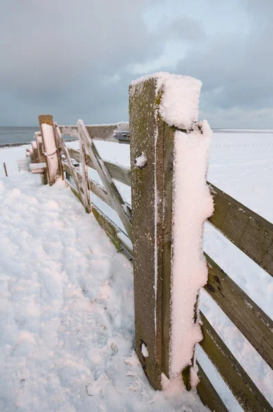 Забор в зимнем пейзаже Лицензионные Стоковые Фото