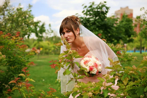 Mooie bruid op trouwdag Stockfoto