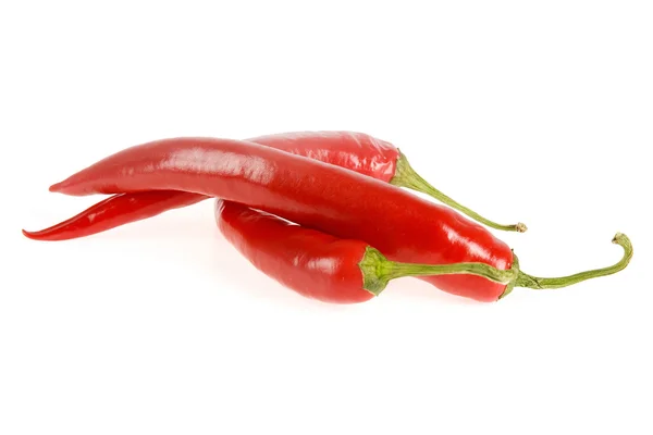 stock image Red pepper