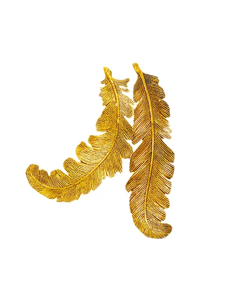 Duas penas douradas isoladas — Fotografia de Stock