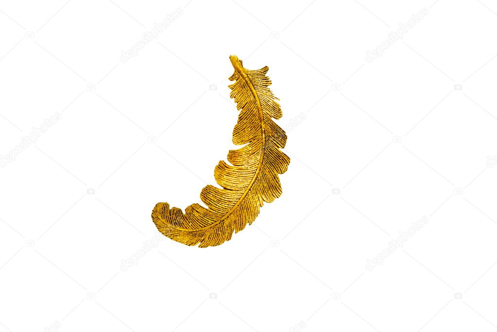 Decorative golden feather isolated